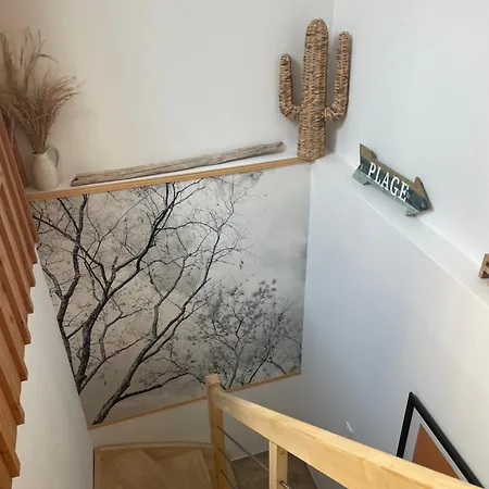 Magnifique Appartement Renove Avec Patio En Centre Ville
